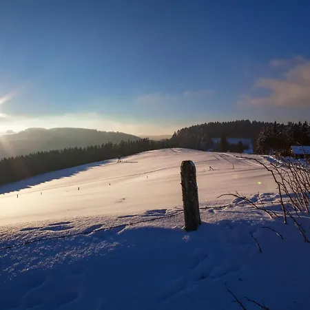 Sauerland-haeuschen Kleine Auszeit Willingen (Upland)