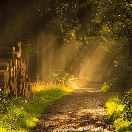 Vakantiehuis Sauerland-haeuschen Kleine Auszeit *