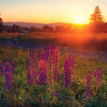 Sauerland-haeuschen Kleine Auszeit