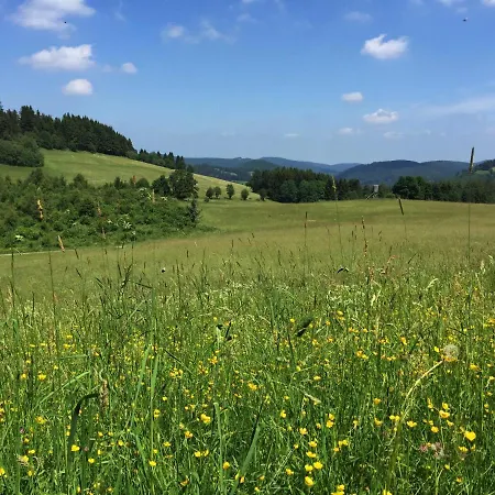Ferienhaus Sauerland-haeuschen Kleine Auszeit