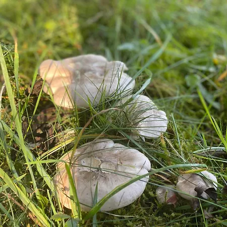 Sauerland-haeuschen Kleine Auszeit Prázdninový dům