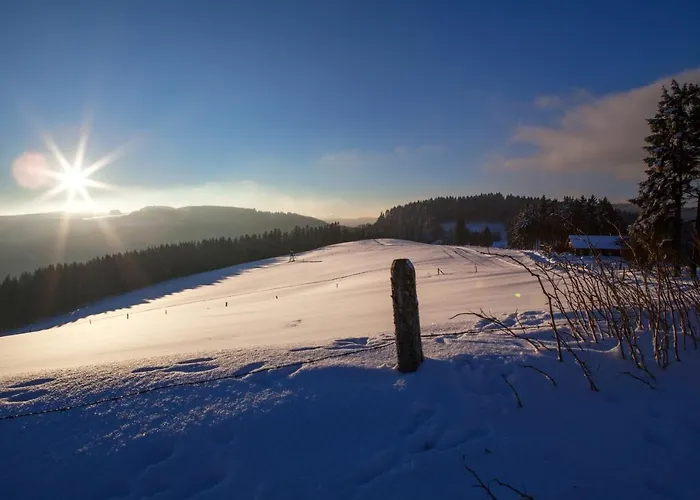 Sauerland-haeuschen Kleine Auszeit Willingen (Upland)