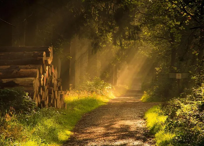 Prázdninový dům Sauerland-haeuschen Kleine Auszeit *