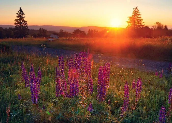 Sauerland-haeuschen Kleine Auszeit