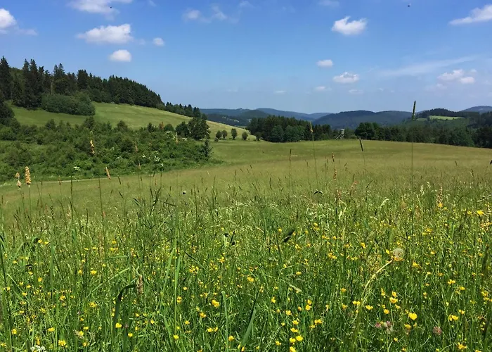 Prázdninový dům Sauerland-haeuschen Kleine Auszeit